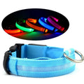 Light blue Hauloft LED dog collar with quick-release buckle, plus the glowing color range