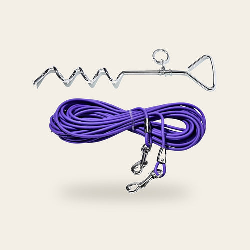 Spiral ground stake and 30 ft purple tie-out cable with clips on a plain sand background