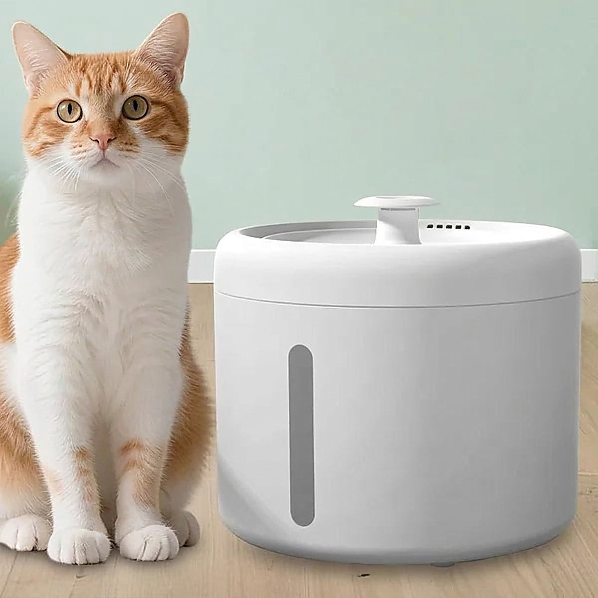 White 2.5 L pet water fountain next to an orange and white cat