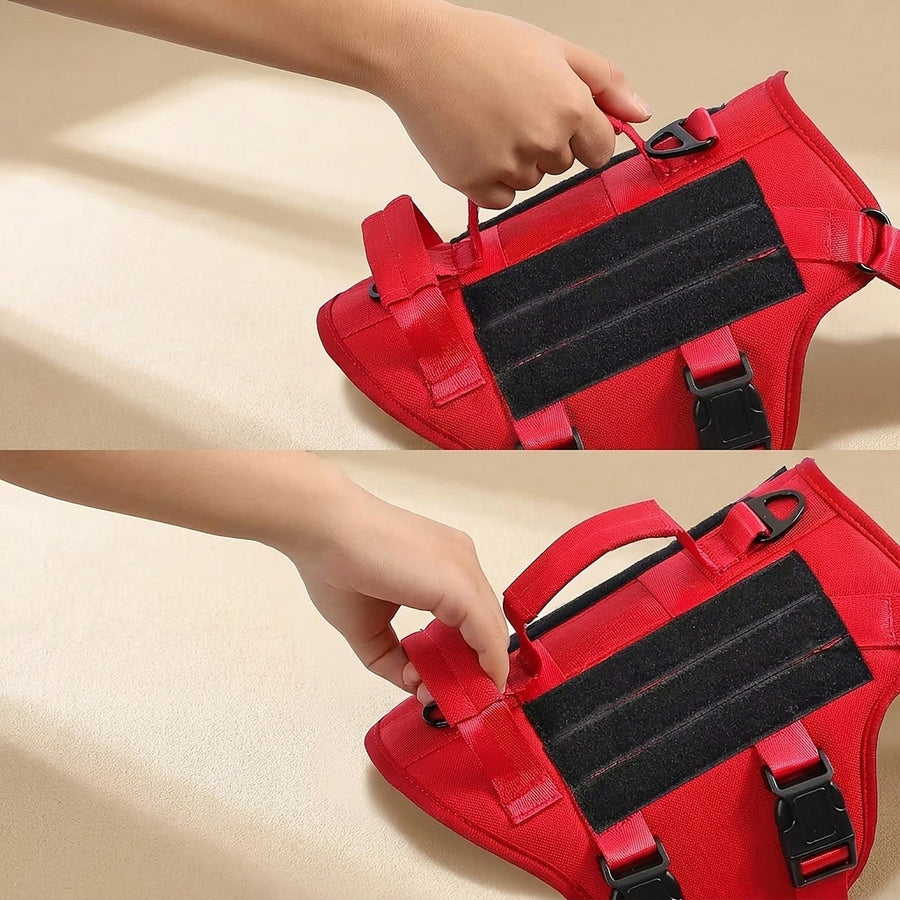 Hand lifting the harness by its top handle