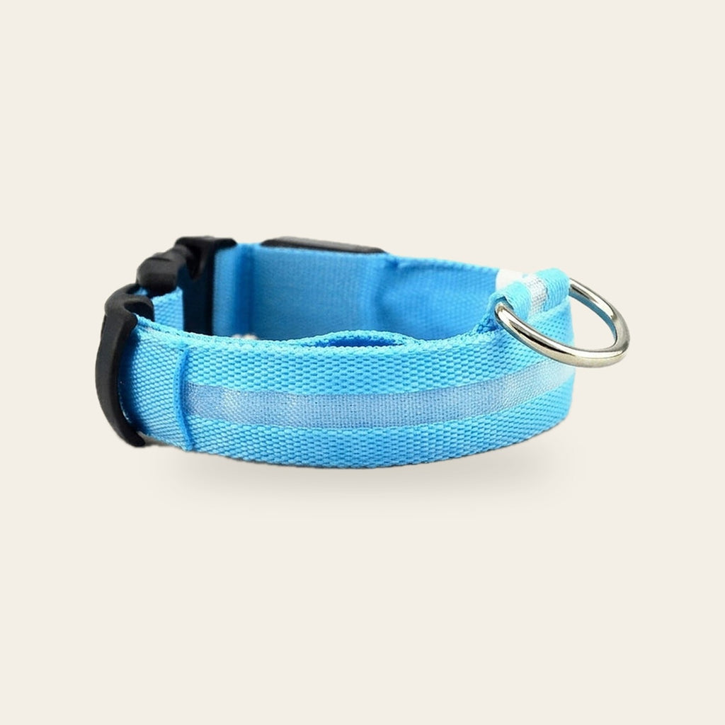 Blue LED light-up dog collar with buckle and D-ring on a plain sand background