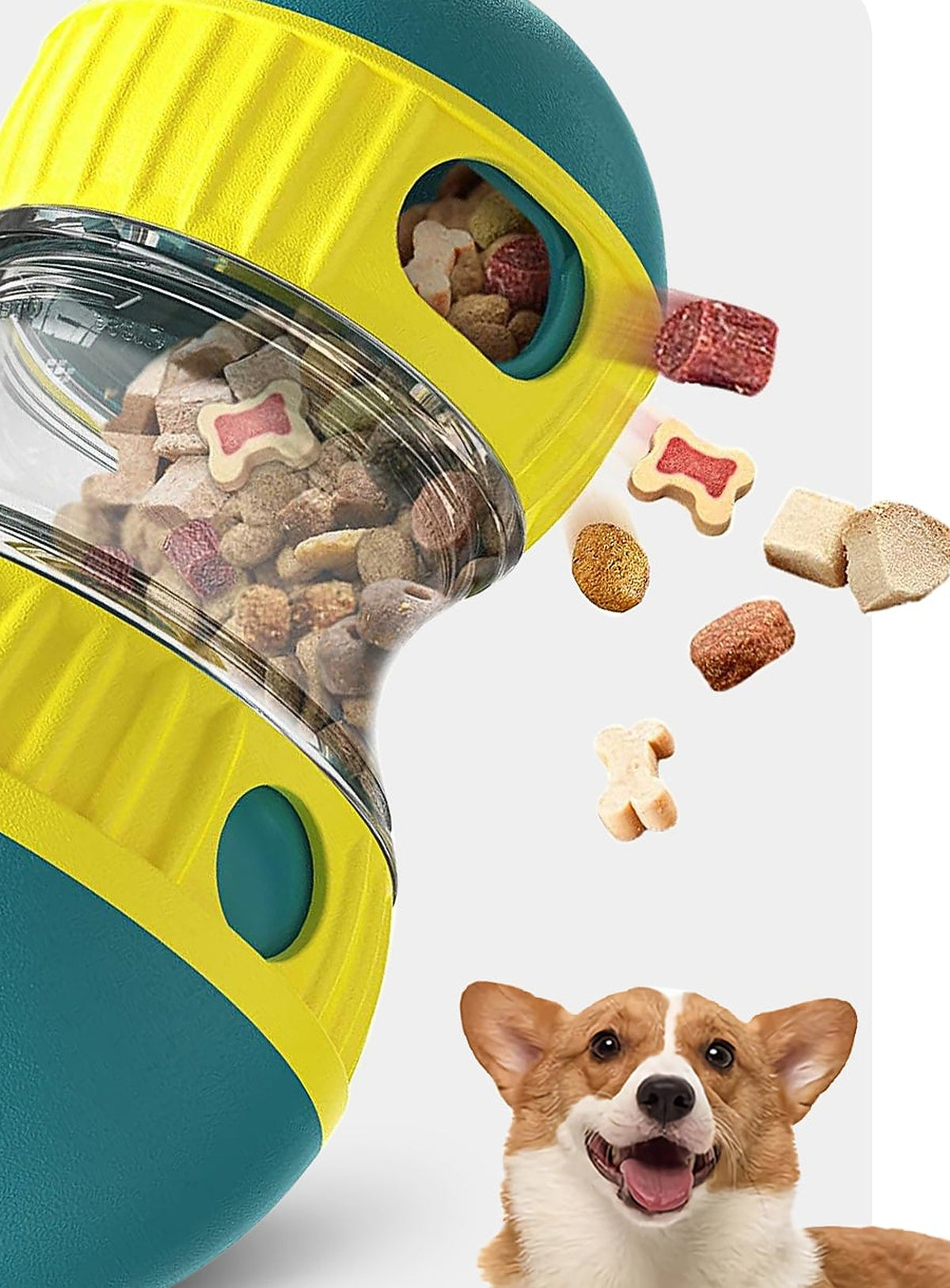 Hauloft treat puzzle ball dispensing kibble, corgi waiting