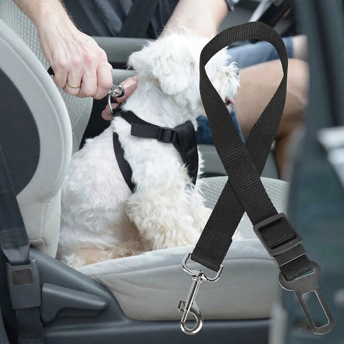 Hand clipping the Hauloft dog seat belt into the car buckle