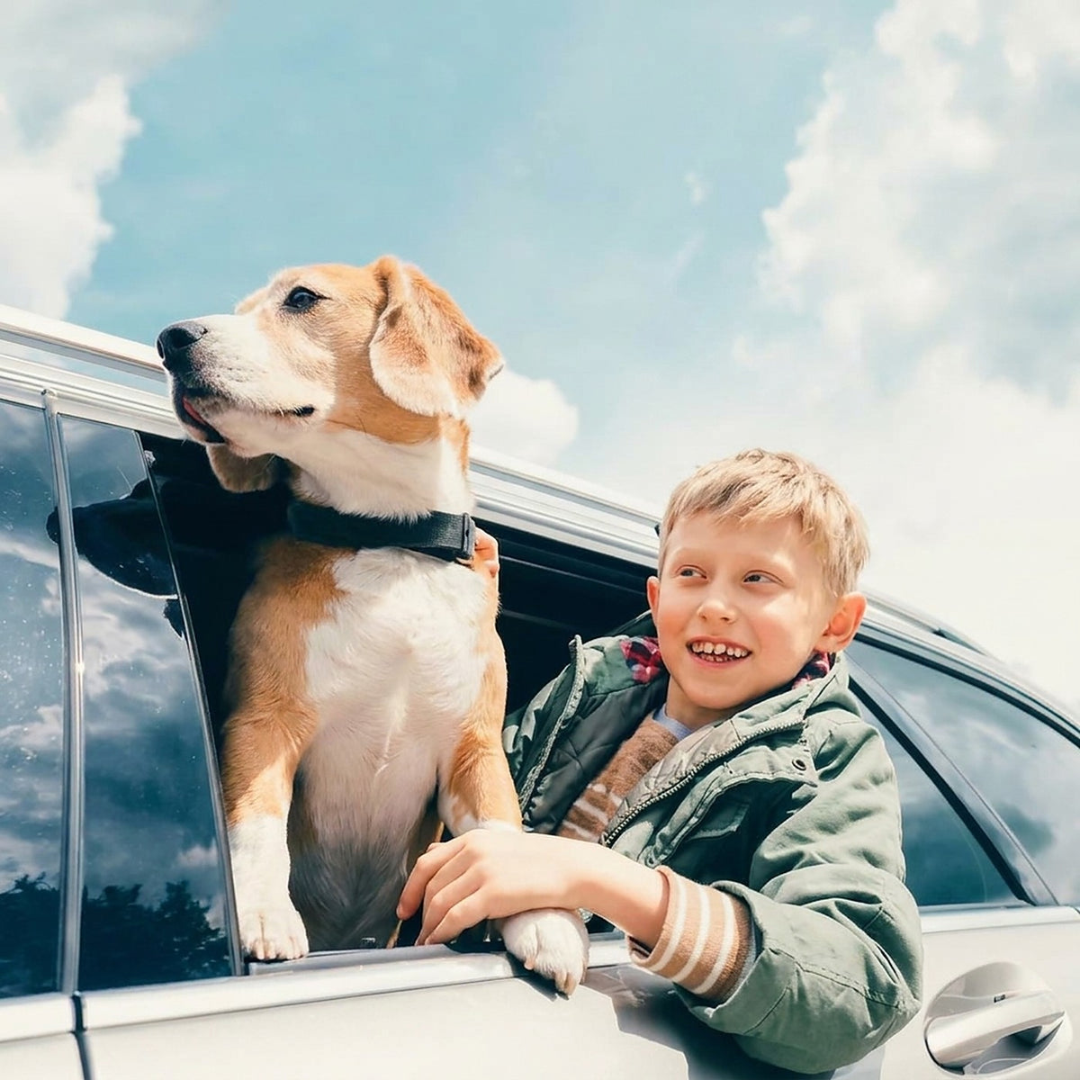 Dog and child riding in the car with the Hauloft dog seat belt