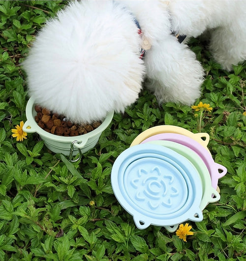 Dog eating from the Hauloft travel bowl on grass, four colors shown