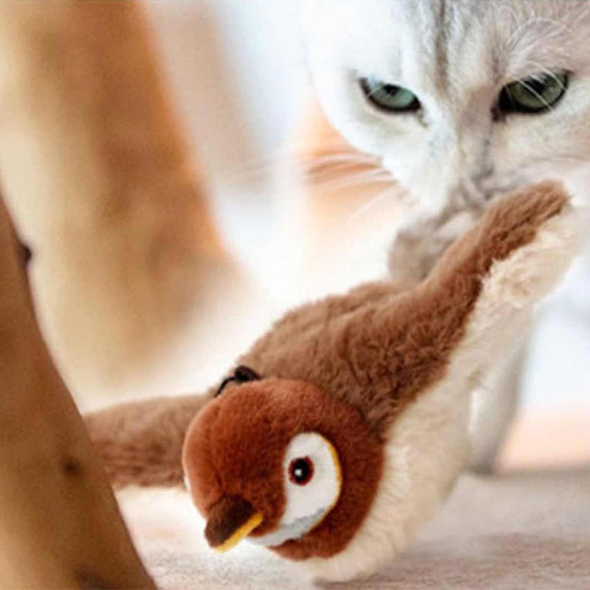 Cat playing with the Hauloft flapping bird cat toy