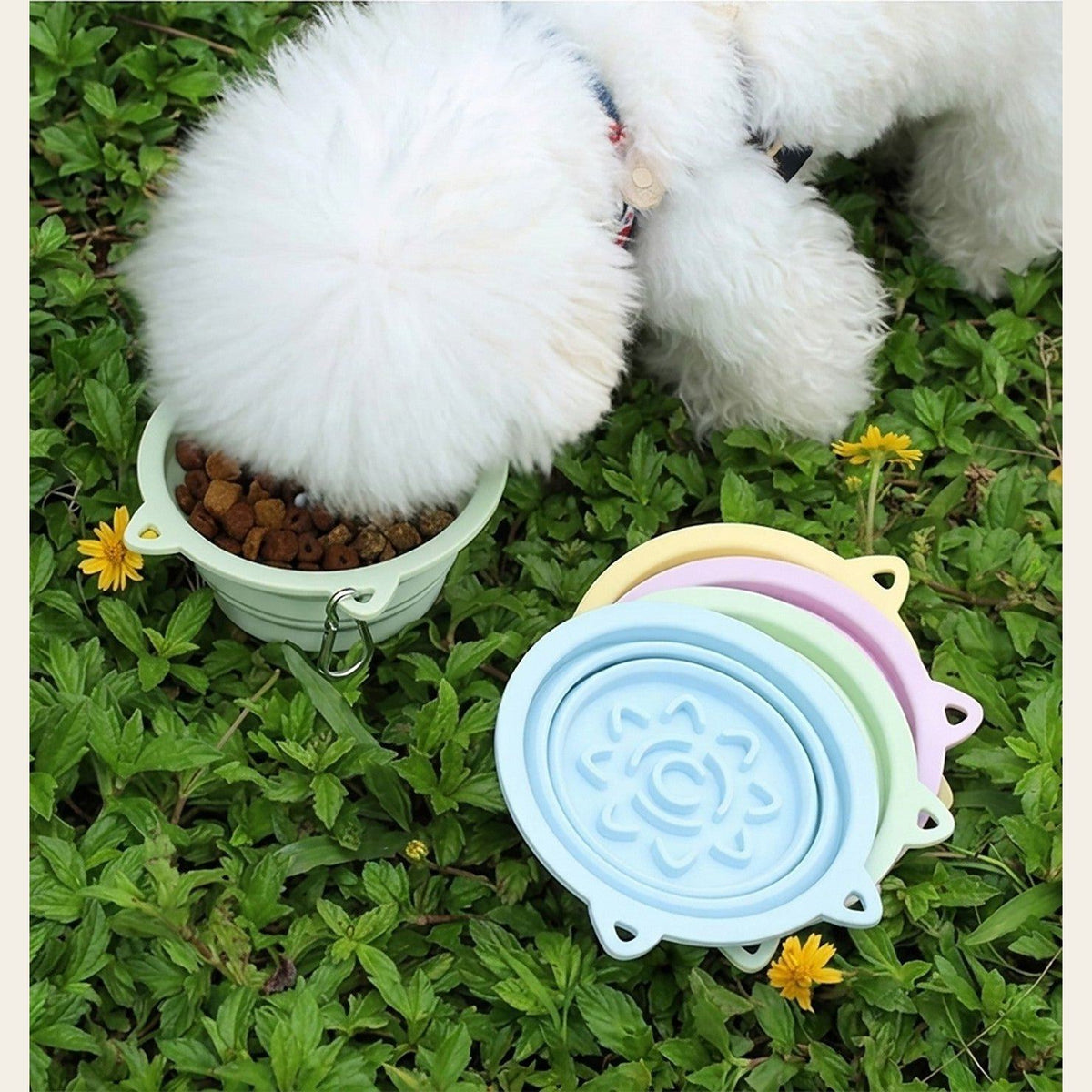Dog eating from the Hauloft travel bowl on grass, four colors shown
