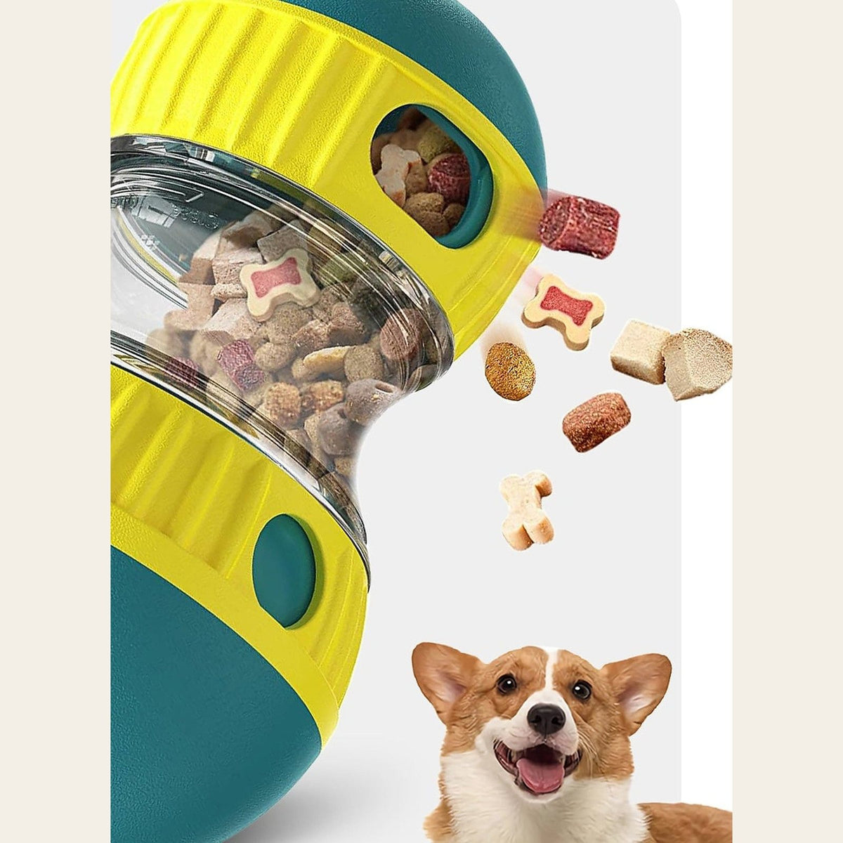 Hauloft treat puzzle ball dispensing kibble, corgi waiting
